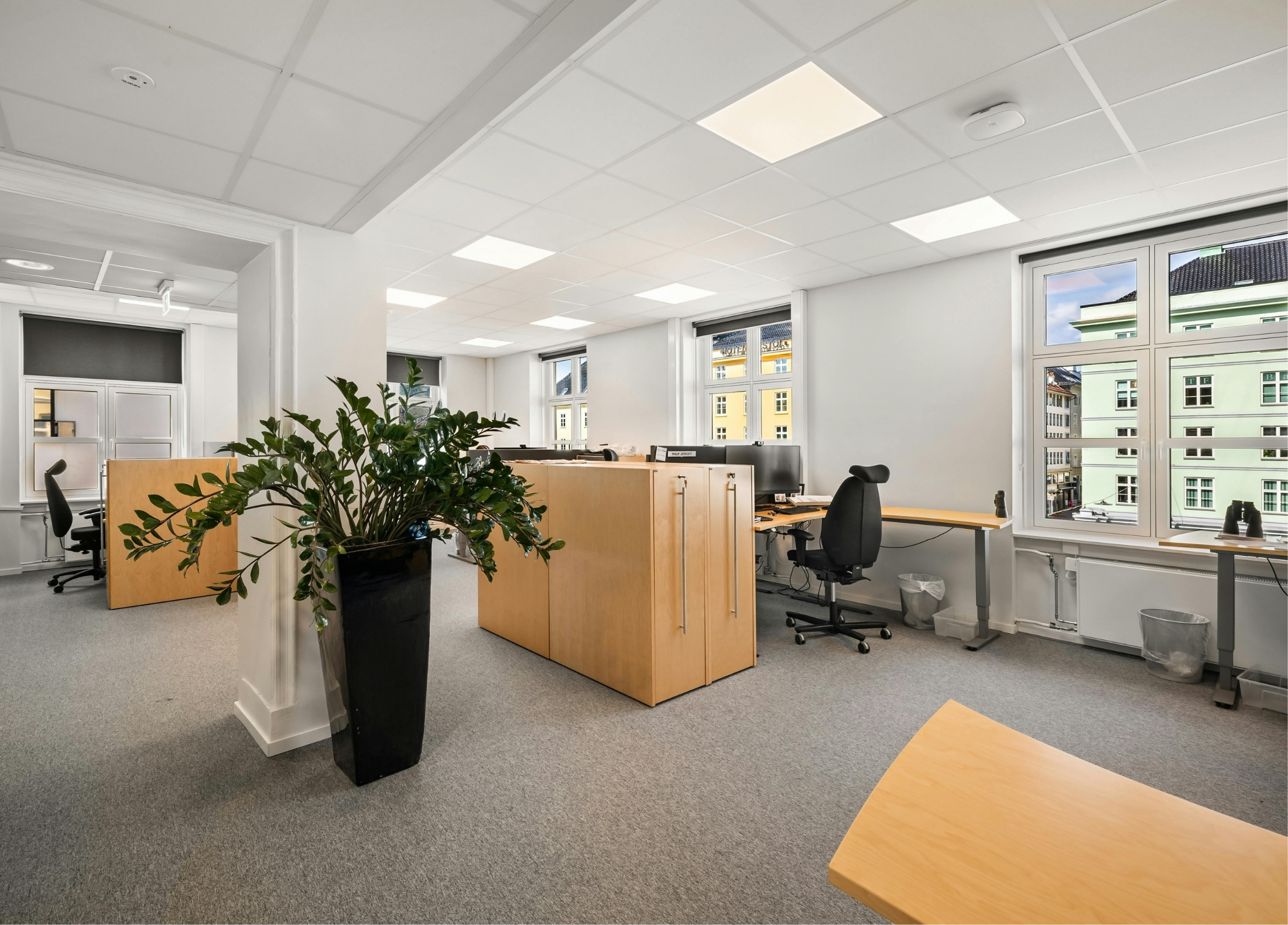 Portfolio Image